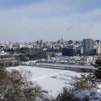 年末年始守ろう心身の健康！厳寒の宮城山形をまわってみた(1)全線復旧した常磐線と雪の仙台城跡を巡る