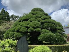 房総旅行 白子 勝浦