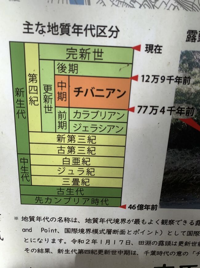 今回はまだ行ったことの無い、チバニアンと月の砂漠に行きました。<br />3蜜回避で気をつけていってきましたが、<br />ホテルの大浴場、誰もいない所で入ったのですが、途中おば様4人組が！余りにも大きい声で浴室内話されていたので、注意させて頂きました。気持ちは十分分かるのですが公共の場では控えていただきたく&#128591;。若者が非難されがちですが、元気なおば様方も若干耳が遠かったりしますので、飛沫要注意ダナと勉強になりました。<br />お風呂は家族風呂がある所がいいですね。反省&#9786;️