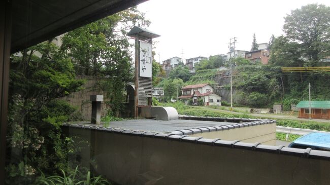8月末ともなると台風の影響で雨が心配です。信州の温泉宿で2連泊しようと話がまとまりました。<br />新幹線ひかりで名古屋乗り換え中央本線しなの9号の特急券をゲットして長野まで、さらに長野線「スノーモンキー号」に揺られて5時間の長旅でした。<br />田畑の緑、山々の連なり、蛇行する川の流れに心癒されホッとします。<br />湯田中温泉「ますや」に2連泊しゆったりとお宿で過ごす予定です。