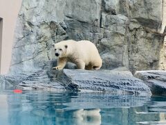 日本の最後の白地図を埋める旅東北編１