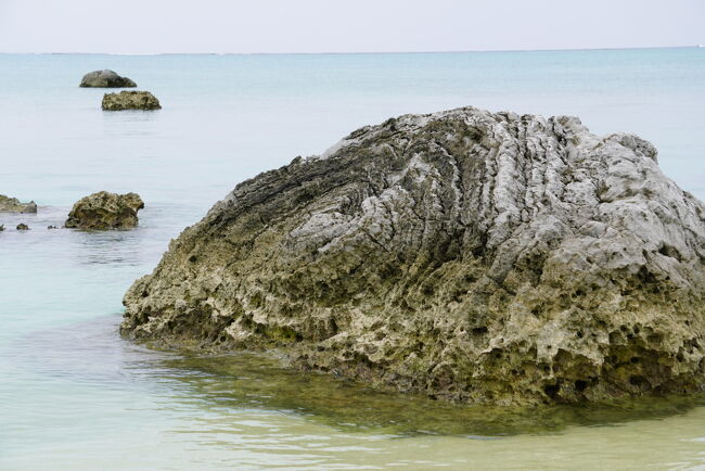 夏休みの石垣島。5日目も曇天なので、路線バスの旅