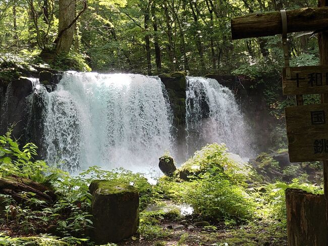 夫の夏休みに合わせて、青森に行ってきました。<br />日程は、2021年8月8日~10日の2泊3日。<br /><br />宿泊は星野リゾート奥入瀬渓流ホテルに2連泊。<br />移動はレンタカーで人との接触回避です。<br /><br />1日目は、羽田からJL141便で青森空港へ。<br />レンタカーを青森空港でピックアップ、旅の始まりです。<br /><br />旅の計画では<br />1日目 八甲田ロープウェイ<br /> 十和田市現代美術館<br />2日目 奥入瀬渓流散策<br /> 十和田湖散策<br />3日目 弘前市、青森市観光<br />のつもりでしたが、あいにく天気予報は 2・3日目が雨とのこと。<br /><br />気ままな個人旅行のいいところ。<br />天候に合わせてオールシャッフルしちゃいました。(^_-)-☆<br />臨機応変な旅となりました。<br /><br />