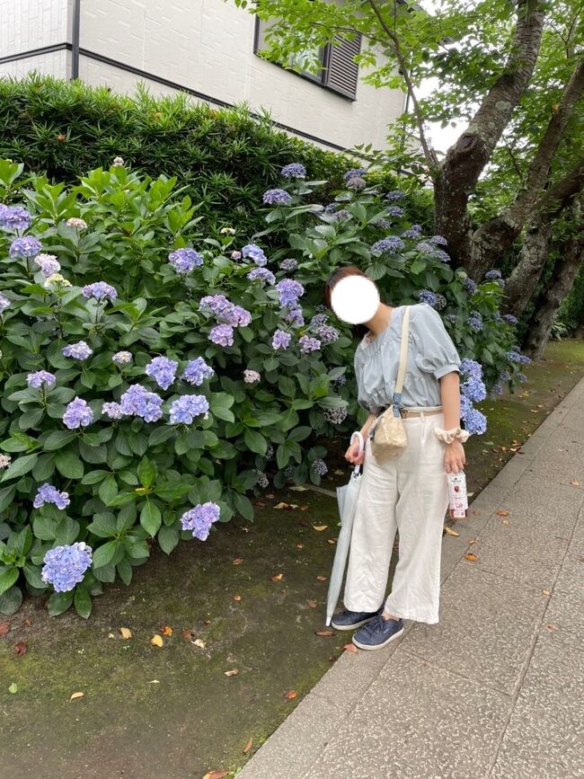 鎌倉駅から藤沢駅までの江ノ電を1日のりおりできる「のりおりくん」を使って、人混みを避けた日帰り散策です。隠れ家的なカフェにも行ってきました。