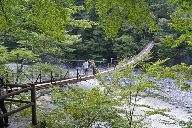 県の観光補助中にＪＴＢで川根旅行のキャンペーンが開催されました。<br />これは行くしかないと思い、ＪＴＢサイトをポチっとしてしまいました。<br /><br />宿：温泉民宿　深山　2475円<br />　　選べる一品特別料理プラン（二食付き）8950円<br />　　→JTB50％オフクーポン　4475円<br />　　→バイシズオカ旅行券　－2000円引きで　2475円<br />　　　（地域クーポン1000円付き、実質1475円）<br /><br />交通：大井川周遊きっぷ　4900円<br />　　大井川鉄道、井川アプトライン、寸又峡バス　2日間乗り放題<br />　　※３日間版5900円もあります。<br /><br />観光：<br />　　大井川湖上湖、夢の吊り橋<br /><br />アプトラインには乗ったことが無かったので、初めて乗れてよかったです。<br />深山は2回目の利用でしたが、部屋がリフォームされていてきれいでした。<br />料理の量が多すぎて食べるのが大変、温泉はぬるぬるで良かった！<br /><br />ＪＴＢキャンペーンが再度ありましたので、年末に別のホテルに宿泊する<br />予定です。<br /><br /><br />　