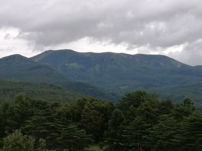 家族で恒例の軽井沢に行ってきました。<br />わずか3泊ではありますが、避暑地でのんびりリフレッシュ！<br />昨年は中止しましたから今年は本当に待ち遠しかったですね。<br />娘家族ともなかなか一緒に過ごす機会もなかったので、二人のお孫ちゃんとも楽しく過ごせてよかったです。<br />宿泊は標高1100m以上の北軽井沢なので、とにかく涼しい！<br />湿気が少ないですから気持ちがいいこと＾＾<br />朝の気温は19℃とかですからよく眠れるのも嬉しい。<br /><br />旅行記の続きは女性と子供たちが行った観光農園のもぎ取り、<br />男性陣が楽しんだゴルフの様子などです。<br /><br />