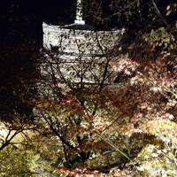 京都の夜を散歩、、、紅葉ライトアップ