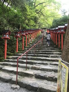 大人の京都旅行～二日目は神社巡り
