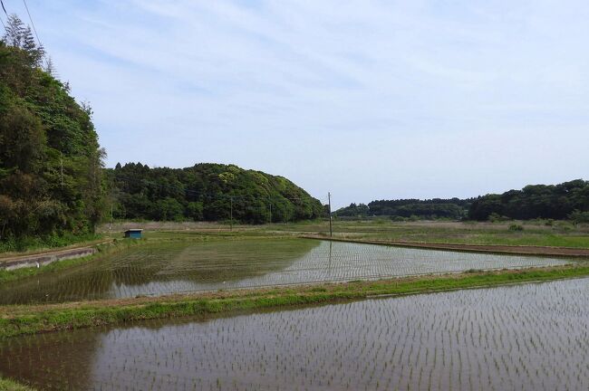 　潮来市の八反田でバードウォッチングをして楽しみました。<br /><br />表紙写真は、八反田の田園風景です。<br />