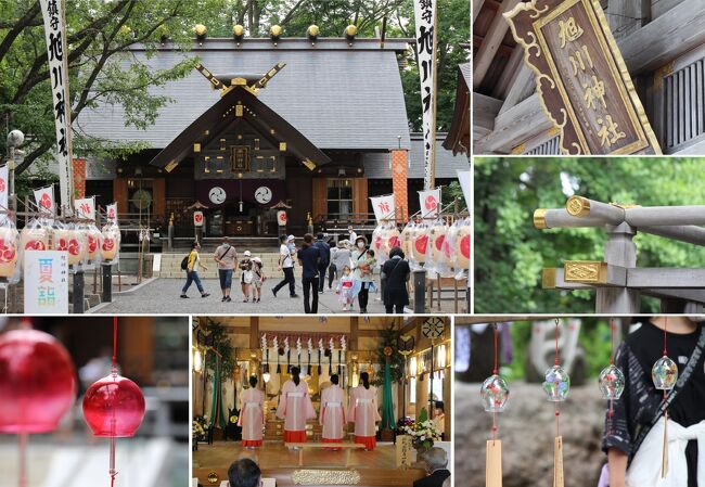 北海道旭川市にある旭川神社はこの地を開拓した旭川屯田400戸の入植とともに1893年天照大神、そして木花開耶姫命を祭神として本殿が造営された神社です。市内では上川神社とともに最も古い神社で、私もよく参拝に出かけます。14日（土）には宵宮祭、15日（日）には本祭がありました。宵宮祭では神楽殿で舞姫と神楽会のお神楽が奉納されたのですが、土曜日、日曜日の参拝はかなり混むことが予想されたので控えることにしました。翌16日（月）の後日祭に参拝しましたが、日中の行事なので人も少なくゆったりとお参りすることができました。舞姫「浦安の舞」も狭い神殿ではありますが、初めて鑑賞しました。