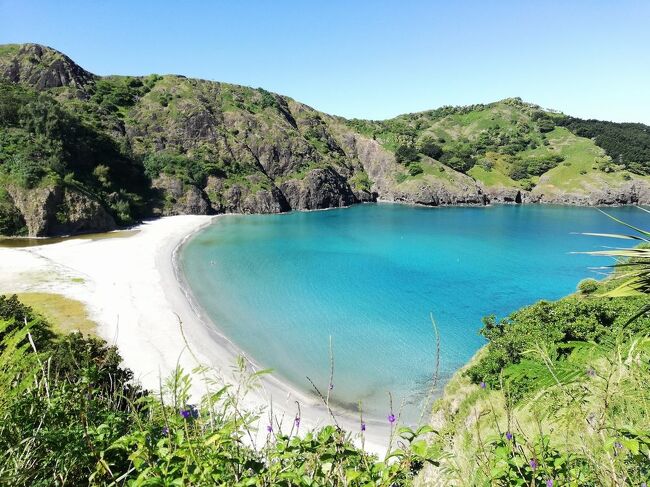 たまにはベタな観光旅行2108　「20年ぶりに小笠原諸島・父島を訪れ、村営バスで各地を散策しました。」　～小笠原・東京～