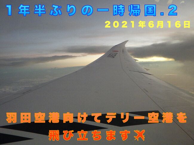 1年半ふ&#12441;りの一時帰国.2 　羽田空港に向けてテ&#12441;リー空港を飛ひ&#12441;立ちます