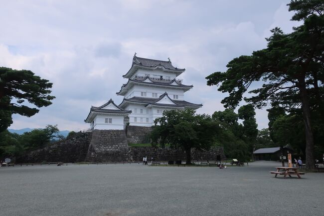 sukeco夫の勤続20周年記念旅行は1年遅れで決行しました♪。本当は2020年だったのですが、コロナの影響で半年だけ延ばしてもらえることに。sukeco夫の会社から、お休みと旅行代金が支給され、最初に考えていたのは、フランス&ベルギー旅行でしたが、海外は絶対無理。続いて検討した今年のGWの石垣島も感染増でキャンセル。でも、どうしても石垣島が諦められず、5月下旬に延期していたのですが、そちらもキャンセルに・・・。ということで、近場でホテルホッピングという結果に!。エグゼクティブハウス禅だけは自腹での宿泊でしたが、ほかの3泊はsukeco夫の会社持ちーっということで、普段宿泊できないようなホテルもチョイスして、日頃の疲れを取ってきましたー!!!。今回は「小田原城を散策!」編です。<br /><br /><ホテル><br /><br /> 7/11 エグゼクティブハウス禅<br /> 7/12 ヒルトン小田原リゾート&スパ<br /> 7/13 箱根吟遊<br /> 7/14 ふふ熱海