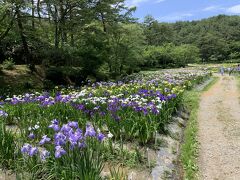 新発田城とあやめ園