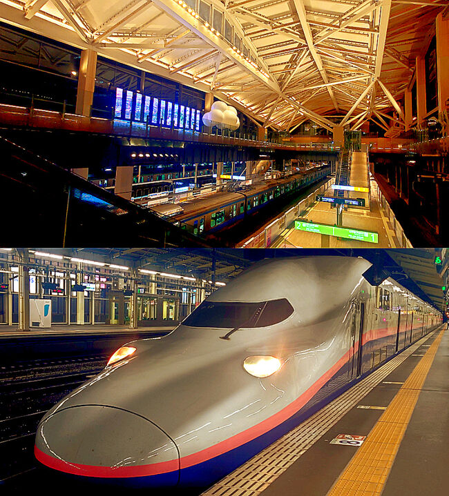 東京と5年ぶりとなる青森市に旅行しました。<br />東京は主に高輪ゲートウェイ駅と東京駅と新幹線について紹介します。<br />青森市は青森名産のグルメと観光について紹介していきます。<br />タイトルにもある「リベンジ」というのは三内丸山遺跡についてのことですが、それは「2日目・後編」で紹介します。<br />旅行記は1日目と2日目前編と後編の合計3冊で紹介していきます。<br /><br />1日目は高輪ゲートウェイ駅と東京駅周辺と今年(2021年)10月1日に引退するE4系新幹線を中心に紹介していきます。<br /><br />