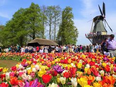 アムステルダム(Amsterdam)　4日目(キューケンホフ公園 Keukenhof)