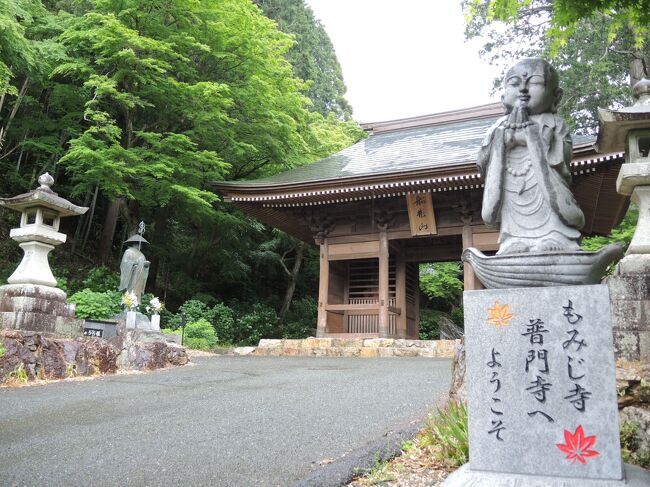 2021年ＧＷ　久しぶりの渥美半島と道の駅&雨の中の豊橋普門寺へ！2日目