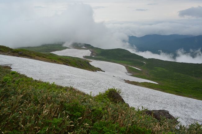 2014年07月23日(水)<br />「山の会」の夏山例会登山「鳥海山」に引き続き、7月19日「月山」への山行を行った。<br />　信仰の山であるとともに、雪渓や湿原も多く高山植物の種類も多く自然豊かな山である。<br />　当日は、朝から雨模様で「雨の山行」を覚悟してスタートしたが、幸いにも15分ほどで雨が上がって薄日のさす登山となった。9時30分に月山8合目駐車場の登山口からスタート。11時30分に月山9合目・仏生小屋に到着。さらに1時間30分で月山頂上の月山神社に到着した。神社に参拝の後、昼食を取り13時35分下山開始。15時50に無事「徳田原参籠所」に到着した。