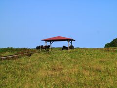 日本最東端の旅　根室旅行記