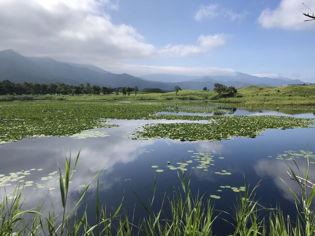 北海道旅行3日目。<br /><br />知床五湖、天に続く道、神の子池、多和平、釧路湿原に行きました。<br /><br />夕飯は釧路の港近くの岸壁ろばた。<br /><br />宿泊は今日は車中泊ではなく、釧路のネットカフェです。<br /><br />ネカフェに泊まったのは初めてだったので、新鮮でした！<br />