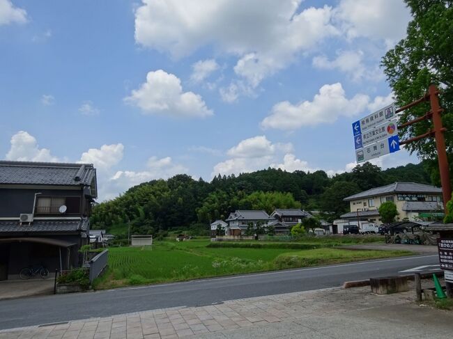 遺跡巡りのおもしろいところは、あるいは困ったことは、行ってみると何もないことです。田んぼ、道路、ただの原っぱ。<br />この表紙写真も、飛鳥を旅した方はご存知のはず。石舞台駐車場の入口です。私もこの前の道路を何回行ったり来たりしたか。<br />ところがこの道路向こうの田んぼに、草壁皇子の宮殿、嶋の宮があったと推定されています。草壁皇子の薨去は持統3年（689年）、その63年前推古34年（626年）には、同じ場所で蘇我馬子が卒しております。<br /><br />六国史および引用資料は「六国史の旅　影の皇子1」をご覧下さい。<br />