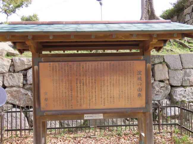 2021年3月1日(月)12時15分過ぎ、淀緑地の河津桜を満喫して、北東端の東口から淀城址に向かう。東北東に向かう道の北側に広がるのは道路から中は見えないが京都競馬場(淀競馬場)。春の天皇賞や菊花賞などのGIレースが開催される日本でも有数の競馬場。1925年(大正14年)に開設されたが、それ以前は北側の旧宇治川と南から西側の巨椋池排水路に挟まれた沼地だった。2020年2月から2025年の開場100周年に向けて大規模な改造工事を行っており、現在は使われていないが、京阪淀駅のホームからトラックを望むことが出来る(下の写真1)。また、道の反対側に京都市立大淀中学校があるが、戦後すぐの1947年に開校した淀中学が前身で、1975年に久御山町立久御山中学校が分離されて大淀中学となるまでは、京都市伏見区と久御山町の両方の生徒が通っていた。現在も八幡市の飛び地も校区に含んでいる。1975年生まれ、東山高校でセンバツに2回出場し、巨人に入団。抑えやセットアッパーで活躍し、その後MLBのボストン・レッドソックスでも5年間活躍し、ワールドシリーズ優勝も経験した岡島秀樹投手は、この中学の卒業生。10分余り東北東に進むと京阪本線の高架があるが、高架の下に古そうな石の道標が建っている(下の写真2)。2011年に高架化されるまではこの道標の南側に淀駅があった(現在の高架駅より南300m)。この道標は1928年(昭和3年)に三宅安兵衛の遺志に基づいて建てられたもので、その淀駅から久御山町東一口(いもあらい)にある安養寺への道筋を示している。道標はこの他にも大淀中学の校内と宇治川対岸の久御山町西一口、そして安養寺前にある。三宅安兵衛は福井県の小浜生まれの幕末・明治時代の京都の豪商。晩年は隠居し、還暦後は京都周辺の名所旧跡を遊覧することを楽しみとしたそうで、京都のために資産を使えと云い残し1920年(大正9年)に満78歳で亡くなる。長男の清治郎がその遺志に基づき京都の名所旧跡に標石を設置した。 京都市内だけでなく山城南部の八幡市、宇治市、京田辺市、木津川市、精華町、井手町にかけて、1930年(昭和5年)までに400余基が建碑された。高架を抜けると西側にあるのが淀城跡公園。1968年(昭和43年)に本丸や石垣を利用して開園した公園。ただし、天守などは1871年(明治4年)の廃藩置県で淀藩は廃藩となり、淀城も廃城となり、現在は城郭に伴う再建造物もない。淀と云うと、秀吉の側室の淀殿を思いつく人もいるだろう。確かに淀殿は1589年に秀吉が淀城を与え産所としたことから呼ばれるようになったのだが、この淀城は現在は淀古城と呼ばれ、この城跡公園から北へ約500m、当時はその間を流れていた宇治川の対岸(北側)にあった。この淀古城で淀殿は二人の息子を産んだが、その後1595年に秀吉と養子の甥の秀次が不仲となり、秀次は切腹、この淀古城の城主の木村重茲も連座となり、城は廃城となり、伏見城に流用された。淀古城の跡は現在は何も残っていない。淀城跡公園にあった淀城は、それより後、江戸時代に入った1625年に2代将軍徳川秀忠の命で淀藩へ入部した松平定綱が築城した城。廃城となった伏見城の資材を転用、二条城の天守を移築し築かれたと伝えらる。淀古城で使われたものが伏見城経由で再利用されたかもしれない。完成の翌年の1626年には秀忠が、さらにその息子の家光も淀城の縄張りを調べに来城した。淀城跡公園となっているのは本丸部分で、三川合流地の中州を干拓し、淀三町と呼ばれる城下町を形成している。縄張りは本丸と二の丸を中心とした「回」字形に、三の丸、西の丸、東外には巨大な馬出形状をした東曲輪が配されていた近世城郭。北の納所(のうそ)地区と南西の美豆(みず)地区とは、淀小橋・淀大橋でつながれ、城下町の周囲は三川の水に囲まれ、河中の城であった。城下町を貫通する形で京街道が設定され、淀城大手門はこの京街道に面して設置された。淀城はこの中州の西部を指すが、中州自体が大きな水堀であり、古代中国の都城のような構造を持っていた。この城の特徴として、城の西と北側に直径九間(約16m)の大型水車が2基設けられていた。二の丸の居間や西の丸の園池に水を取り入れていたのに使用されていたと思われる。築城当時は、木津川は本丸に近い部分に北流していたが、3代城主永井尚政の時代の寛永年間の1637年から1639年に掛けて、城下町の拡張と侍屋敷の造営を行い、木津川の流れを南に移動させた。江戸中期の享保8年(1723年)に10代城主として稲葉正知が入城、以後幕末まで稲葉氏が城主を務めた。宝暦6年(1756年)に落雷により天守や建物の大半が焼失、以後天守や本丸御殿は再建されなかった。幕末1968年の戊辰戦争の折り、1月3日の鳥羽・伏見の戦いの後、5日に淀千両松の戦い(現在の京都競馬場の北)で敗れた幕府軍は淀小橋を渡って淀に入り、淀城に籠って戦況の立て直しを図ろうとしたが、当時、21代城主で幕府老中の稲葉正邦は江戸におり不在で、朝廷や官軍と戦いたくない家臣は入城を拒否。幕府軍はやむなく淀大橋を渡って男山方面に撤退した。淀城は大坂城などとともに西国に睨みを利かすために築城されたが、結果的に官軍の勝利に一役買うことになったのは何という皮肉。なお、この時の兵火で淀城の城下町と城内の一部は焼亡した。また、この戦いで、新選組の古参の隊長であった井上源三郎ら隊士7名が戦死した。その3年後に淀藩は廃藩となり、淀城は廃城となった。ところで、この淀と云う地名だが、この辺りが古くから三川が合流した巨椋池の唯一の流出口で水のよどむ低湿地帯だったことから「澱む」が淀に転じた。別の記に書いたが、宇治川の流れを巨椋池と分けたのは秀吉で、それ以前はここは三川合流点ではなく、宇治川、木津川、桂川は、それぞれ池の西、南西、南東で流れ込み、この辺りから流れ出していた。平安京の頃からこの辺りは南西日本における最も重要な水陸交通の要地として繁栄し、与等津(淀津)と呼ばれていた。ここから下流を淀川と呼ぶのも、淀から流れて来る川と云う意味で、古くは近江川、山城川、山崎川、取替川、鵜河と云う記述も残るが、平安時代の古今和歌集や日本紀略にすでに淀川や淀河の記述がある。一般的になったのは江戸期に入ってからではと云われている。淀城跡公園に入るが、続く