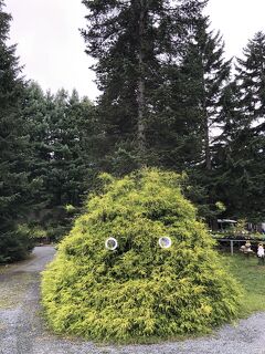 夏の北海道４日目　帯広泊