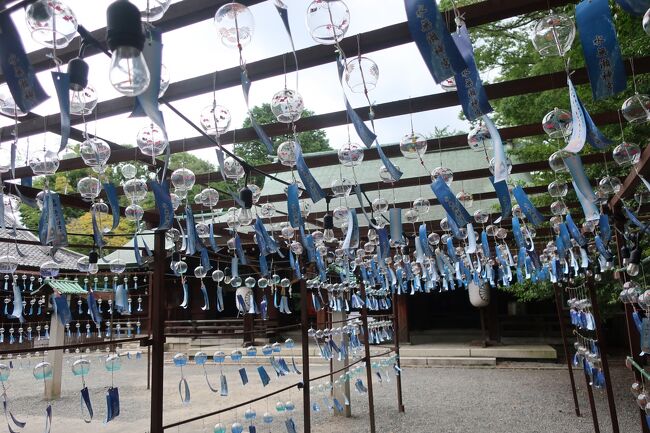 今年も行きました。人少なくておすすめです。<br /><br />「招福の風」風鈴が飾ってある期間<br />開催期間：7月1日～9月9日　<br />※ライトアップは8月の土日祝（8月11日～15日を除く）のみです。<br /><br />水無瀬神宮ＨＰ<br />https://www.minasejingu.jp/