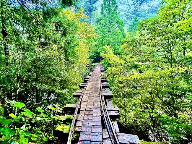 夏休み旅行3日目。<br />今日は縄文杉を見に行きます♪<br />今回はトレッキング♪♪♪ということで、富士山登頂の時やキナバル山登頂の時のような準備は全くなしの働きマン。しかもコロナ禍ということもあり週1しか出社していません。そんな運動不足の働きマンに対して絶賛微妙な反抗期中の娘がいいます。<br />「ママはトレーニングしたほうがいいよー!縄文杉まで歩けないよー♪」<br />と。<br />・・・自分は中学の部活で中長距離を毎日6-7キロは走っている娘。そんな娘をぎゃふんと言わせたくて・・・結構頑張りました。。。働きマン♪<br /><br />【縄文杉トレッキング前日までに用意したもの】<br />■バスのチケット:大人往復2400円(1000円は山岳部環境保全協力金)<br /> 中学生往復1400円(学生は協力金は必要なしとの事)<br />■お弁当2食(朝昼)分:前日17時頃に風の散歩道で頼んでくれた。1人1100円かな?でも朝食料金(¥500/人)をそこから引いておいてくれました。優しいオーナーさんです)<br /><br />【縄文杉トレッキング工程】縄文杉トレッキング往復22km:8時間32分<br />■3:30:起床<br />■4:10:宿出発<br />■4:35:屋久杉自然館到着<br />■5:00:バス乗車<br />■5:35:荒川登山口到着:ここで朝ごはん<br />*****ここからトレッキングスタート♪*****<br />■6:03:荒川登山口出発<br />■6:40:小杉谷休憩所到着→スルー<br />■8:25:大株歩道入り口到着<br />■8:30:大株歩道入り口出発<br />■8:55:ウイルソン株到着<br />■10:20:縄文杉到着<br />■10:35:縄文杉出発<br />■11:55:ウィルソン株でランチ<br />■12:15:ウィルソン株出発<br />■12:45:大株歩道入り口出発<br />■14:35:荒川登山口到着<br />*****ここでトレッキング終了♪*****<br />■15:00:バス乗車<br />■15:35:屋久杉自然館到着<br />■16:05:風の散歩道(宿)到着<br /> <br />【旅程】☆本日はココ♪<br />■ 8/5(木):羽田→鹿児島(飛行機):仙巌園+スタバ+天文館でディナー<br />■ 8/6(金):鹿児島→屋久島(トッピー):白谷雲水峡:雨+永田浜:屋久島ドライブ<br />☆ 8/7(土):縄文杉トレッキングという名の登山です。<br />■ 8/8(日):大川の滝+西部林道ドライブ<br />■ 8/9(月):白谷雲水峡トレッキングという名のラスト15分は登山です。<br />■ 8/10(火):屋久島→鹿児島(トッピー):薩摩半島ドライブ:指宿温泉泊<br />■ 8/11(水):指宿→宮崎ドライブ:鵜戸神宮&サンメッセ&宮崎空港:シーガイヤ泊<br />■ 8/12(木):宮崎→霧島温泉郷ドライブ:「綾の照葉大吊橋」までの道のりが雨の為通行止め+霧島神宮:霧島温泉郷泊<br />■ 8/13(金):鹿児島→羽田<br /><br />【宿泊先】<br />■ 8/5(木):レム鹿児島<br />■ 8/6(金):風の散歩道(屋久島)<br />☆ 8/7(土):風の散歩道(屋久島)<br />■ 8/8(日):風の散歩道(屋久島)<br />■ 8/9(月):風の散歩道(屋久島)<br />■ 8/10(火):砂むし温泉 指宿白水館(指宿)<br />■ 8/11(水):シェラトン・グランデ・オーシャンリゾート(宮崎シーガイヤ)<br />■ 8/12(木):料亭旅館 竹千代 霧島別邸(霧島温泉郷)<br /><br />【旅費】<br />■ 8/5(木) 飛行機:往復特典航空券 ¥0<br />■ 8/5(木) お茶 ¥151<br />■ 8/5(木) リムジンバス ¥4,200<br />■ 8/5(木) ブルースカイ ¥1,978<br />■ 8/5(木) タイムズカーレンタカー(8時間)¥4,530<br />■ 8/5(木) スタバ ¥374<br />■ 8/5(木) 仙厳園+駐車場 ¥3,300<br />■ 8/5(木) ランチ ¥7,500<br />■ 8/5(木) 仙厳園スタバ ¥2,343<br />■ 8/5(木) ミルキー ¥216<br />■ 8/5(木) レム鹿児島 ¥12,885<br />■ 8/5(木) みやまでディナー ¥11,833<br />■ 8/5(木) ガソリン代 ¥800<br />■ 8/5(木) ドン・キホーテ ¥1,316<br />■ 8/5(木) ドン・キホーテ ¥4824<br />■ 8/6(金) トッピー往復:鹿児島⇔屋久島 ¥79800<br />■ 8/6(金) ランチ KICTHEN HUB ¥2,750<br />■ 8/6(金) デスティーノレンタカー(4日間) ¥17,900<br />■ 8/6(金) 歯医者パパ ¥980<br />■ 8/6(金) CAFÉ KICTHEN HUB ¥1,500<br />■ 8/6(金) 宿:風の散歩道(4泊5日2食付き/日)¥92,560<br />■ 8/6(金) 買い物 ¥989<br />■ 8/7(土) バス代 ¥7,600<br />■ 8/7(土) ランチ(お弁当:あさひ) ¥2,100<br />■ 8/7(土) 飲み物 ¥610<br />■ 8/8(日) ランチ:きらんくや ¥4,000<br />■ 8/9(月) ドラックモリ ¥628<br />■ 8/9(月) お弁当:かもがわ ¥930<br />■ 8/9(月) お茶 ¥650<br />■ 8/9(月) 白谷雲水峡入山料<br />(大人2人分中学生は要らないとの事)¥1,000<br />■ 8/9(月) コーラ ¥160<br />■ 8/9(月) ポカリ3本 ¥480<br />■ 8/9(月) ドラックモリ ¥2,265<br />■ 8/9(月) 尾之間温泉(1人¥300) ¥1,200<br />■ 8/10(火) ※ガソリン代等 ¥3,009<br />■ 8/10(火) お土産(娘用) ¥1290<br />■ 8/10(火) お茶 ¥480<br />■ 8/10(火) ランチ:こむらさき ¥3,920<br />■ 8/10(火) オリックスレンタカ-(3泊4日)¥18,300<br />■ 8/10(火) 高速料金 ¥1,200<br />■ 8/10(火) 砂蒸し温泉指宿白水館 ¥69,316<br />■ 8/11(水) 指宿白水館 ジュース+写真代 ¥6,815<br />■ 8/11(水) 高速料金 ¥2,290<br />■ 8/11(水) セブンイレブン ¥1,162<br />■ 8/11(水) 鵜戸神宮:お守り等 ¥700<br />■ 8/11(水) サンメッセ ¥2,600<br />■ 8/11(水) ディナー:宮崎空港夢かぐら ¥5,820<br />■ 8/11(水) シェラトングランデオーシャンリゾート ¥55,858<br />■ 8/12(木) ランチ:釜揚げうどん重乃井 ¥2,600<br />■ 8/12(木) 霧島温泉竹千代別邸 ¥68,400<br />■ 8/13(金) 竹千代別邸入湯税+飲み物 2380<br />■ 8/13(金) お土産代 ¥2,154<br />■ 8/13(金) ※ガソリン代等 ¥4,539<br />■ 8/13(金) ロイヤルコーヒーショップ ¥2,123<br />■ 8/13(金) リムジンバス ¥4,200<br />■ 8/13(金) CAFÉ宮でディナー※\7205株主優待 ¥0<br />■ 合計 ¥533,508
