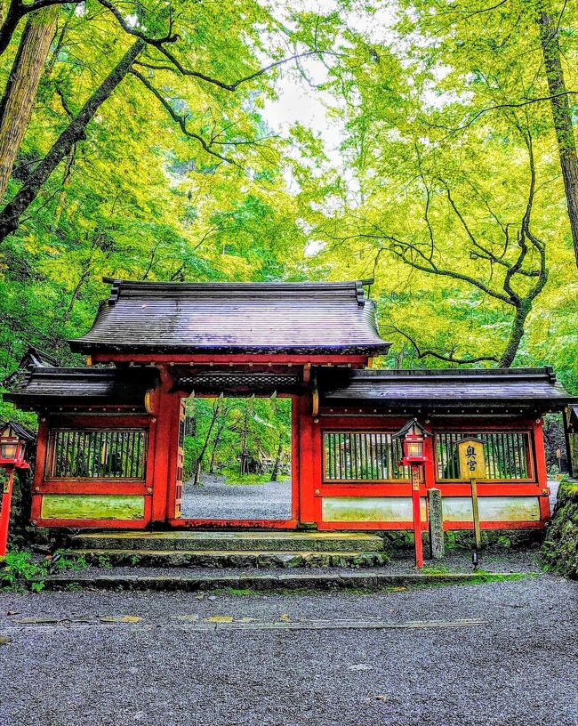 電車&バス&徒歩で、「貴船神社」と「鞍馬寺」を日帰りで観光してきました(^^)<br /><br /><br />気温は20℃台後半だったから暑くはなかったけど、「貴船」の川床には大いに興味を惹かれました(^o^)<br /><br />「鞍馬寺」は「奥の院魔王殿」まで行きましたが、私は残念ながら「八艘飛び」が出来ないので、道のりは超絶ハードでした(^_^;)<br /><br /><br />本日の合計歩数は23,946歩で、帰る時には少々足が震えていましたw<br /><br />