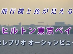 ヒルトン東京ベイに泊まるならオーシャンビューをおすすめします