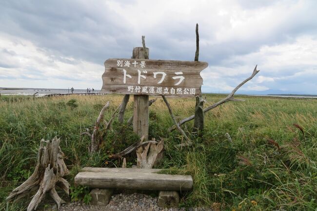 阪急交通社の３泊4日のツアーで、東北海道を回ってきました。<br />東京、北海道ともに緊急事態宣言中でしたが、ツアーは催行となりました。<br />ただし、参加の条件として、<br /><br />●　2回目のコロナワクチン接種から一定期間経過していることを証明できる書類を提示すること。<br />●　ツアー実施３日前以内にPCR検査を受け、陰性であることを証明できる書類を提示すること。<br />のいずれかに該当する場合のみ参加可能となっていました。<br />（これって、ワクチンパスポートの変形？）<br /><br /><br />【１日目】　お昼過ぎに羽田から女満別に飛び、裏摩周展望台から知床に向かい、知床で１泊。<br />【２日目】　知床五湖を観光の後、知床遊覧船で知床岬まで遊覧して、午後はフレぺの滝を観光した後、屈斜路湖まで向かい、屈斜路湖畔で宿泊。<br />【３日目】　朝早く屈斜路湖のホテル近くの津別峠から雲海を見学したあと、いったんホテルに戻り、朝食後、野付半島から納沙布岬を観光して、その後、釧路に向かい釧路市内で宿泊。<br />【４日目】　釧路湿原を観光後、空港から羽田に戻る。<br /><br />となっていましたが、途中雨などで若干の予定変更となってしまいました。<br />