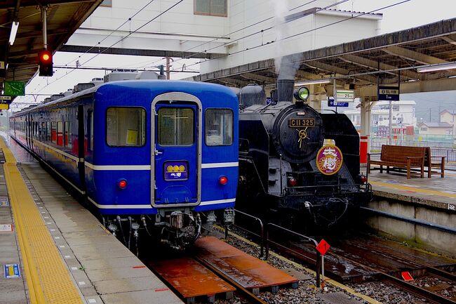 東武鉄道が期間限定でフリーきっぷを発売しているので、未踏区間を乗れるだけ乗りつつ、わたらせ渓谷鐵道を使って、いつの間にか日光市になっていた足尾から日光を目指しました。<br />修学旅行以来の二荒山神社、東照宮に参拝し、泊まりは奮発して日光金谷ホテル。<br />翌日は、SL大樹に乗った後に、宇都宮で餃子を食べて栃木を満喫しました。