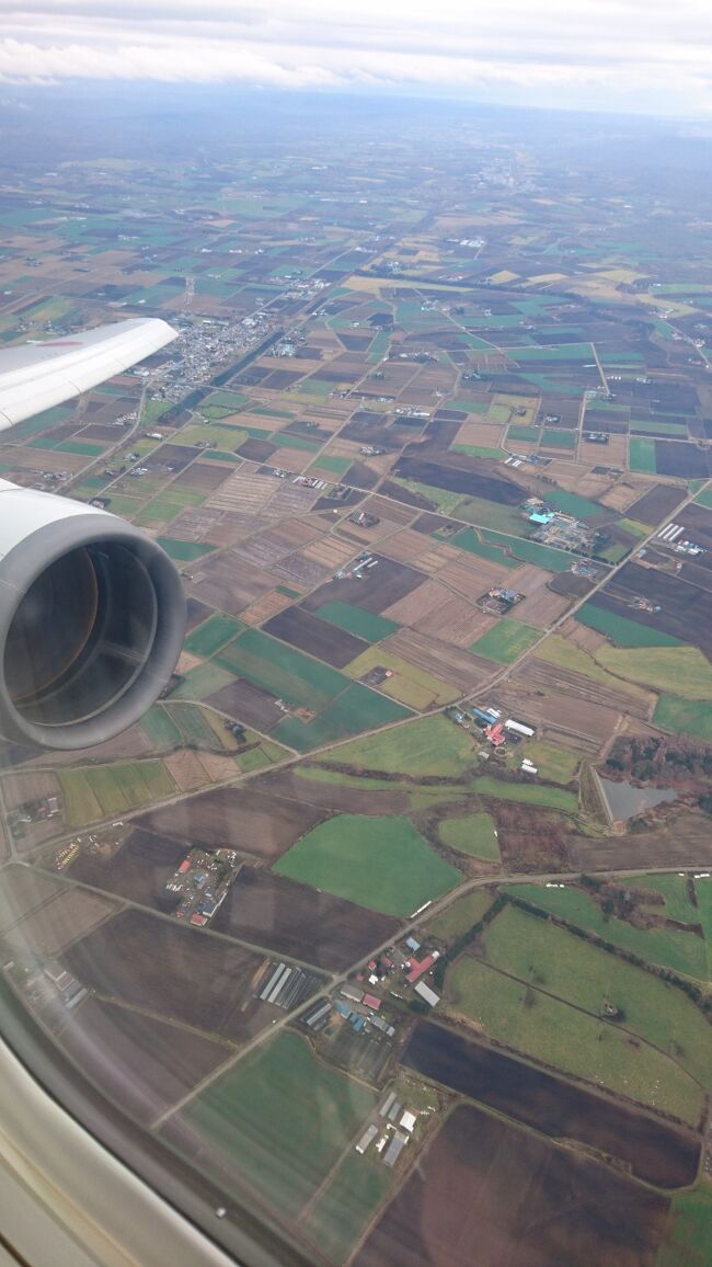 ぽっかり空いていた11月第三週土日。この週のトクたびマイルを見ていたら札幌が4,500マイルに飛びついて、飛んで参りました。新千歳空港から出ることなく、買い物して食べて飲んできました。<br /><br />航空便：往復トクたびマイル　4,500×4<br />11/22(日)　ANA59　羽田10:00→新千歳11:35<br />　　　　　 ANA68　新千歳15:30→羽田17:10