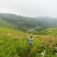 北海道離島の旅　その3　憧れの花の浮島礼文島で自然いっぱいのお花畑をトレッキング