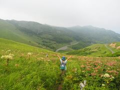 北海道離島の旅　その3　憧れの花の浮島礼文島で自然いっぱいのお花畑をトレッキング