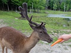 カナダ国内記　ケベック州のオメガ公園とその近くの観光地モンテベロ