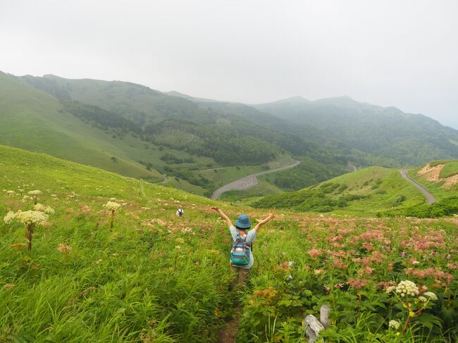 北海道離島の旅　その3　憧れの花の浮島礼文島で自然いっぱいのお花畑をトレッキング