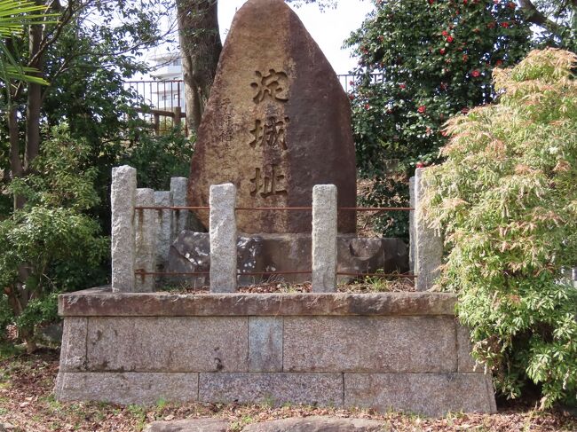 2021年3月1日(月)12時半過ぎ、淀城址公園の2つの神社以外の部分を歩く。ただし、前にも書いたようにこの本丸跡に建造物は何も残っておらず、再建されたものもない。唯一、天守台と内堀の石垣の一部のみが残る。<br /><br />稲葉神社の南側、一段と高くなっているところが天守台。二条城の天守を移築したと伝えられている。ひとつの天守台の中央に五重の天守を置き、四隅に二重櫓を配し、櫓と櫓を塀で結んだ形をした日本で唯一の変形連立型天守ともいうべき特異な構造をしていたと云うが異説もあるようだ。この天守は宝暦6年(1756年)の落雷により焼失、以後再建はされなかった。<br /><br />天守台の北側に3本の石標が建つが、京阪本線の高架下にあったのと同じく三宅安兵衛遺志で1928年(昭和3年)に建てられたもので、他の場所にあったものをここに移設した。淀城之故址とあるのは、與杼神社参道になかば埋没し立っていたもので、2006年に碑文が全部読めるように建て直され、その後2011年頃ここに移された。もちろん、この淀城址を示すもの。<br /><br />真ん中の淀小橋旧跡の石標で示す淀小橋はかつて淀の北側を流れていた宇治川に架かる橋で、京街道の一部だった。明治末期に宇治川の流路変更でなくなり、この石標が納所に建てられた。1990年に新しい石標に建て替えられ、この元の石標は淀城跡公園内に保管されたが、2006年頃與杼神社参道に再建され、その後2011年頃現在地に移設された。建て替えられた新しい石標は納所の六差路から中書島に向かう府道124号線を少し東に入ったところに建つ。<br /><br />右端は唐人雁木跡の石標。唐人とは江戸時代、将軍の代替わりや慶事に際して朝鮮王から祝賀のため派遣された朝鮮通信使を指す。雁木とは船着場の階段の意。通信使は、対馬から瀬戸内海を経て大坂へ着き、大坂から川船に乗りかえ淀川を上り、淀城下で上陸し、休憩または宿泊後京都へ出発し、さらに東海道を江戸へ向かった。この上陸地点が唐人雁木。これも淀小橋旧跡の石標同様に、納所に建てられたものが同じ経緯をたどってここに来た。建て替えられた新しい石標は納所の六差路から北向かう道を少し入ったところに建つ。<br /><br />天守台から本丸の南側から西側には内濠と石垣が残る。かつての淀城は淀川から水を引いて幾重にも堀が廻らされていたが、今ではその一部が残るのみとなっている。石垣の上にも河津桜が植えられ、いい感じ。<br /><br />石垣の内側はジャングルジムなどの遊具がある児童公園でいくつかの石碑があるだけ。一番南側の淀・喜界ライオンズクラブ姉妹提携碑は2007年に鹿児島の喜界町のライオンズクラブが建立したもの。絆の文字が刻まれた台石は喜界島産の珊瑚礁(下の写真1)。奄美大島の東にある喜界島は平安時代から大宰府と密接に繋がっていた島で、1177年の平家を打倒しようとした鹿ケ谷の陰謀に加わった俊寛らが流されたと云われる島。<br /><br />その北の淀城址石碑は1923年(大正12年)に稲葉侯御移封二百年記念会が建てたもの(表紙の写真)。その隣の慰霊碑(下の写真2)は、日清・日露の淀町出身戦没者を慰霊して1979年に遺族会が建立したもの。さらにその隣は田邊治之助君記念碑(下の写真3)。1937年(昭和12年)に有志により建立されたものだが、田邊治之助は幕末の淀藩の物頭役。淀城入城拒否の際の守衛を指揮していたのだが、たまたま警衛を破り侵入した者があり、藩主が朝敵の名を被らないようにその責任をとり自決したそうだ。戊辰戦争勃発70年に建立された。<br />ぐるっと回って北西櫓台石垣の上に建つのは明治天皇御駐蹕の碑。1928年(昭和3年)に建てられたものだが、明治天皇は，1868年の親征・海軍検閲のための大坂行幸の際にこの地休憩され、約2週間後の京都還御の際には淀城に宿泊されている。<br /><br />明治天皇御駐蹕の碑から公園の北西部に進むと内濠のほとりに出る。この堀には淀姫と呼ばれる大型の蓮が生息しており、30㎝近くにもなる大型の蓮の花が7月から9月まで全体は桃色で、弁の内底に紅が入り、条線がはっきりしている花を咲かせるそうだが、この時は時季外れ。なお、この淀姫と云う蓮は廃城後の1885年(明治18年)に植えられたのが起源で、その後姿を消したが、2019年に淀観光協会によって再度植え付けられた。<br /><br />12時45分頃、淀城址公園の観光終了し、帰路に就く。京阪電車の淀駅前で遅めの昼食を食べて、石清水八幡宮駅まで電車で戻る。淀駅は1910年(明治43年)に京阪本線開通と同時に開業。現在は高架駅だが、元々は約300m南にあった地上駅だった。1999年から淀駅を挟んだ約2㎞の高架化が行われ、2009年に下り線が高架化され、2011年に上り線も高架化された。<br /><br />島式の複合型2面4線のホームを持ち、中央が本線、両サイドが待避線として使用される(下の写真4)。現在の駅舎は2009年の下り線の高架線化と同時に開設され、大阪寄りにある通常の改札口に加え、京都寄りに競馬開催時のみ営業する臨時改札口がある。<br /><br />駅前、ロータリーに入る手前に淀小橋増築碑がある。1878年(明治11年)に淀の北側を横切って流れていた旧宇治川の川幅が広げられた時に架かっていた淀小橋を約30m延長したが、その時にはめ込まれていた台石だったもの。明治末期に宇治川の流路が変更された際に淀小橋はなくなったが、その際に淀城址内に設置され、2015年に現在地に移された。<br /><br />また、ロータリーの一角には淀の水車の碑(モニュメント)もある。2016年末に京都淀ライオンズクラブが850万円かけて整備した直径4mの杉製のもの。淀の水車は1692年に淀を通過したオランダ人医師が「淀の町は美しく、水車小屋がその城の一部になっている」と書いており、町のシンボルだった。水車は淀城築城前から灌漑用のものがあったと云うが、江戸時代には淀城の淀川沿いの城壁に2つあった。1つは淀小橋下流の宇治川に桂川が北から合流する辺り、もう1つはさらに下流の庭園近くだった。<br /><br />淀駅から石清水八幡宮駅へ向かう途中、淀水路を過ぎ、宇治川橋梁に向けて南にカーブする手前に淀車庫が広がる(下の写真5)。1975年に着工し、1980年に使用開始したもので、開設時は収容能力58両だった。その後、1983年完成の第2期工事で西側に拡張され、さらに1997年完成の第3期工事で南側へも拡張され、現在の収容能力は320両となっている。<br /><br />元々はさらに第4期工事で拡張が計画されていたが、車両の増強の見込みが立たなくなったことから中止され、代わりに南側に3棟の大型倉庫を核とする京阪淀ロジスティクスヤードが2016年に竣工した。<br />https://www.facebook.com/media/set/?set=a.6274069589329679&amp;type=1&amp;l=223fe1adec<br /><br /><br />淀河津桜の話、終了