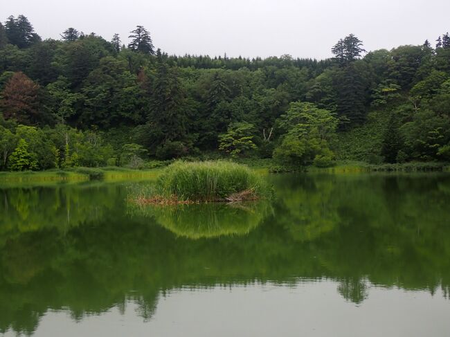 今日も天気が微妙です。<br />最初に「姫沼」へ訪れました。<br />静かな湖面に利尻の森がきれいに映ります。<br />残念ながら利尻富士は一日中見ることができませんでした。<br />「野塚展望台」「白い恋人の丘」「オタトマリ沼」「メヌウショロ沼」「仙法志御崎公園」と巡りました。<br />https://youtu.be/fMmUG-1ebWQ<br />