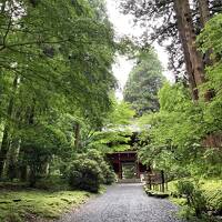 茨城・福島旅行　紫陽花で映えたい旅　2日目