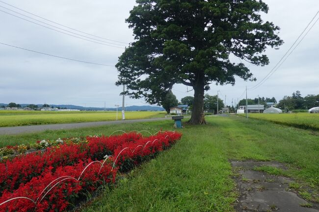 疫病退散9　(里見の鹿島様、浅舞の鹿島様、下吉田の鹿島様と連続して会いに行く。)