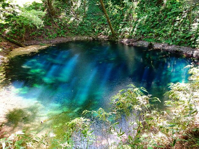 この週末は全国的に天気が芳しくなさそうな中で、青森の日本海側の天気が比較的良さそうだったので、前夜に特典航空券を手配して、五能線に乗って白神岳、十二湖、千畳敷などを巡ってきました。<br /><br />＜旅程＞<br />【1日目(9/4土)】<br />　中部7:30→8:40羽田9:20→大館能代10:30（ANA86+719）<br />　大館能代空港10:45→鷹ノ巣駅11:05（リムジンバス）<br />　鷹ノ巣11:10→11:27大館11:34→12:18弘前12:40→14:28千畳敷16:15→能代17:54（JR奥羽本線＋五能線）<br />【2日目(9/5日)】<br />　能代5:43→白神岳登山口6:39（JR五能線）<br />　白神岳登山口駅6:40-7:11白神岳登山口-9:09白神岳9:10-10:35大峰岳10:42-11:34崩山11:41-11:56大崩展望所11:58-12:39青池12:41-12:49森の物産館キョロロ13:35-13:41沸壺の池13:42-13:53十二湖ビジターセンター13:56-14:02王池バス停14:08-14:18日本キャニオン入口バス停（徒歩）<br />　日本キャニオン入口14:22→十二湖駅14:30（弘南バス）<br />　十二湖15:12→16:17東能代16:20→秋田17:22（JR五能線＋奥羽本線）<br />　秋田駅17:45→秋田空港18:25（秋田中央交通）<br />　秋田19:15→中部20:40（ANA1840）<br />