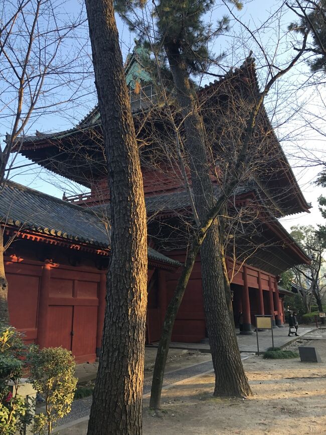 今でも増上寺の境内はたいへん広いですが、江戸時代には今の境内部分以外に<br /><br />現在の芝公園や東京タワー、プリンスホテル、港区役所、数々の子院などを<br /><br />含むもっともっと広大なものでした。明治以降増上寺境内は公園に指定されていきます。<br /><br />また、徳川霊廟という日光の東照宮にも比肩するようなきらびやかな装飾の<br /><br />霊廟がありました。ほとんどは１９４５年の空襲で焼けてしまいましたが、<br /><br />東京のど真ん中に残っていたらと思うと、本当に残念なことです。<br /><br />徳川霊廟も元々は増上寺の境内でしたが、明治以降、徳川家に払い下げられ<br /><br />さらに戦後西武に売却されて、プリンスホテルとなっています。