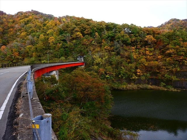 文化の日のこの日は,温海川ダムに紅葉を見に行きました.紅葉もすっかり進んで,里にまで下りてきているので,温海川辺りが一番の見頃となっていました.また,コロナの中でしたが,田川集落で新そば祭りをやっていたので,期せずして新そばも味わうことが出来ました.