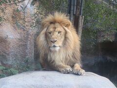 1 旭川 駅前ビルに入ってみます 駅前やぶそばでランチを 旭川 北海道 の旅行記 ブログ By Hhbさん フォートラベル