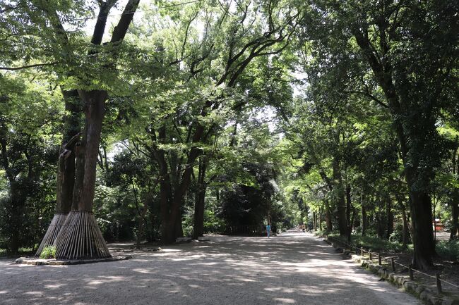 旅二日目は午前中は京都。<br />午後から滋賀へ<br />前日歩き回りすぎたせいで知人の足が限界に来てるので予定変更し早めにチェックイン。