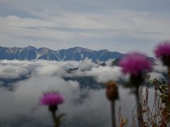 “飯綱山トレイル”晴れた北ア&高山植物が美しく秋気配
