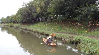 21 高浜市八反田公園の彼岸花 高浜 碧南 愛知県 の旅行記 ブログ By ３８うさぎさん フォートラベル