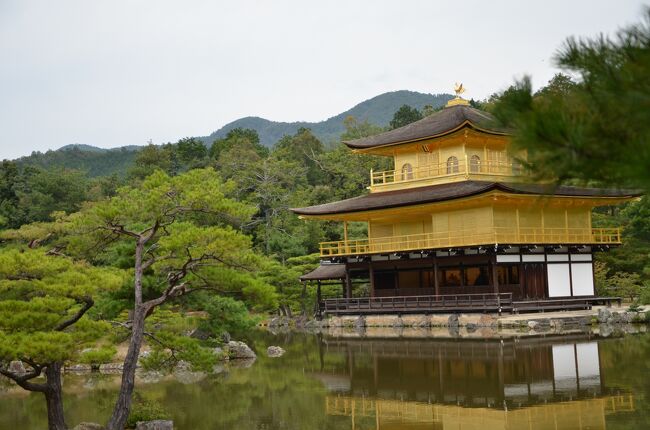 昔行きましたシリーズの続編です。<br />今回は京都嵐山から金閣寺までの西側を日帰りにて巡りました。<br />＊京都は仕事にてよく訪れていますが、神社仏閣は殆ど巡った事が有りませんでしたので、改めて巡ってみました。<br /><br />電車・バス・タクシーは利用せずレンタサイクルを利用し体力の続く限り走りました・・・・交通機関の待ちを無くし、効率良く回るには自転車が最適ですよ！<br /><br />半日（約６時間）にて観光名所・神社仏閣を１０ヶ所ほど回りました。<br />＊レンターサイクルのお姉さんが呆れていました（年の割には走りましたよ）<br /><br />概容<br />　09:44　阪急電車にて嵐山駅到着（嵯峨中ノ島にて渡月橋撮影）<br />　レンターサイクルを借り拝観開始。<br />　まずは丸太町通りを走り、「仁和寺」を経由し「きぬかけの路」から「鹿苑寺金閣」まで走りました。<br />　金閣寺での撮影を終わり近くの「龍安寺」を訪れ、再度「きぬかけの路」を戻り「仁和寺」にて寺内を撮影後、「広沢の池」を右に見まして「大覚寺」到着。<br />　一旦嵐山に戻り昼食を取りながら次に訪れる箇所を検討（嵯峨野の山道を走るか、桂川を下り桂離宮に行くか）・・・昼食にて体力が戻りましたので嵯峨野の山道に決定！<br />　駅前の「天龍寺」から「竹林の小径」を抜け「常寂光寺」「二尊院」「滝口寺」を左に見ながら、テレビのサスペンスでお馴染みの「あだし野念仏寺」に到着。　<br />　「あだし野念仏寺」では、私自身余り霊感が強いほうではないのですが、多数の無縁仏に何か感じる様でしたので早々に引き揚げました。<br />レンターサイクルを返却後、再度「渡月橋」を撮影後帰宅しました。<br /><br />今回はレンターサイクルにて何処まで巡れるかと思い、出来る限り多く回ってみました。<br /><br />感想として各神社仏閣について、もう少し時間を掛けてゆっくり拝観・撮影したいと思いました。<br /><br />次回は同じ京都の東側を同様にレンターサイクルにて巡りましたので投稿させて頂きます。<br /><br />再度非常事態宣言が延長されましたので、もう暫く自宅にて自粛して置きます。<br /><br /><br /><br />